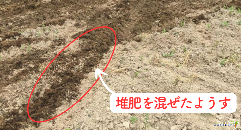2023実証】硬い粘土質の土をふかふかの柔らかい土にした方法 - さ 