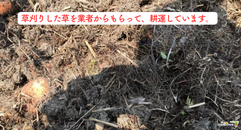 2023実証】硬い粘土質の土をふかふかの柔らかい土にした方法 - さ 