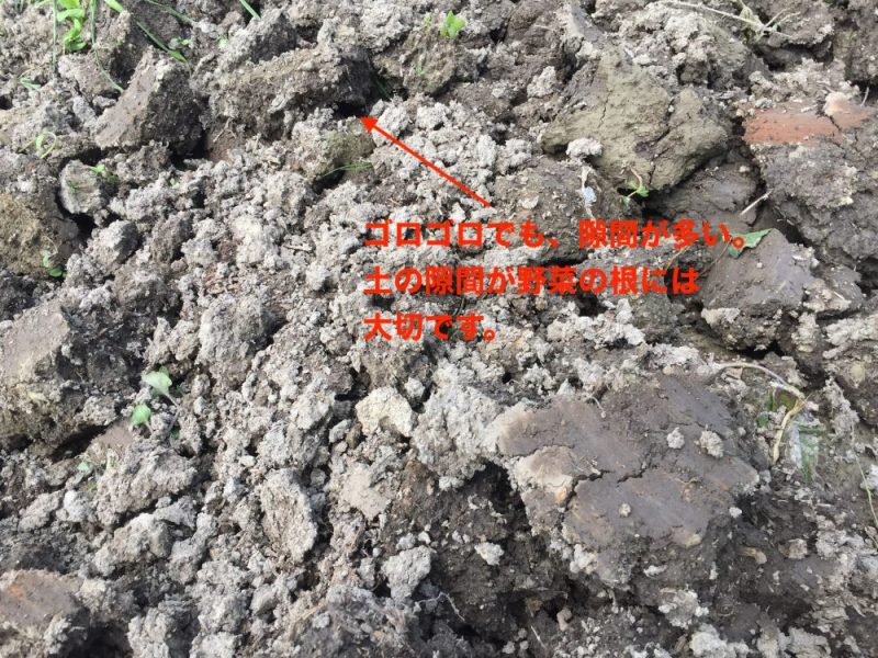 2021実証】硬い粘土質の土をふかふかの柔らかい土にした方法 - さいこうやさい