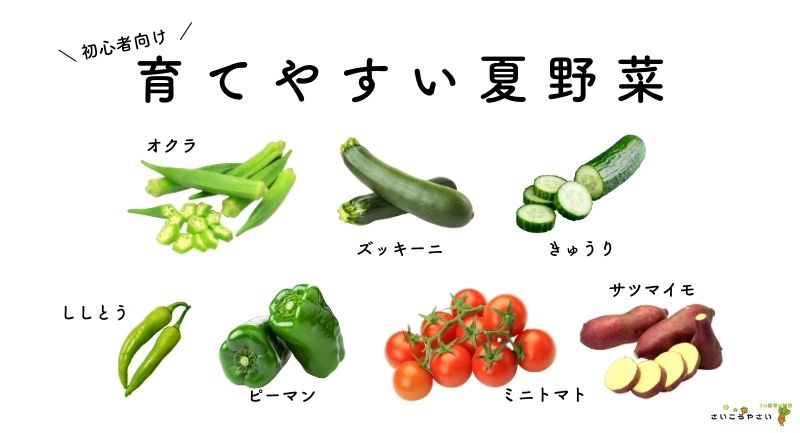 初心者の方でも育てやすい、7種類の夏野菜です