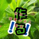 世界一栄養のある野菜づくり。生姜の栄養価をあげる
